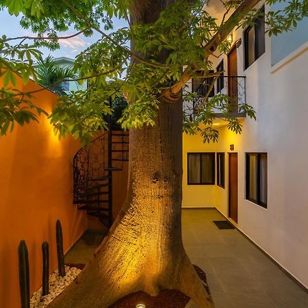 Casa Madero Hotel 拉巴斯 外观 照片